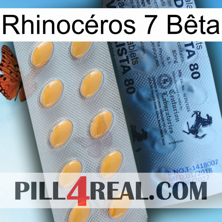 Rhinocéros 7 Bêta 44